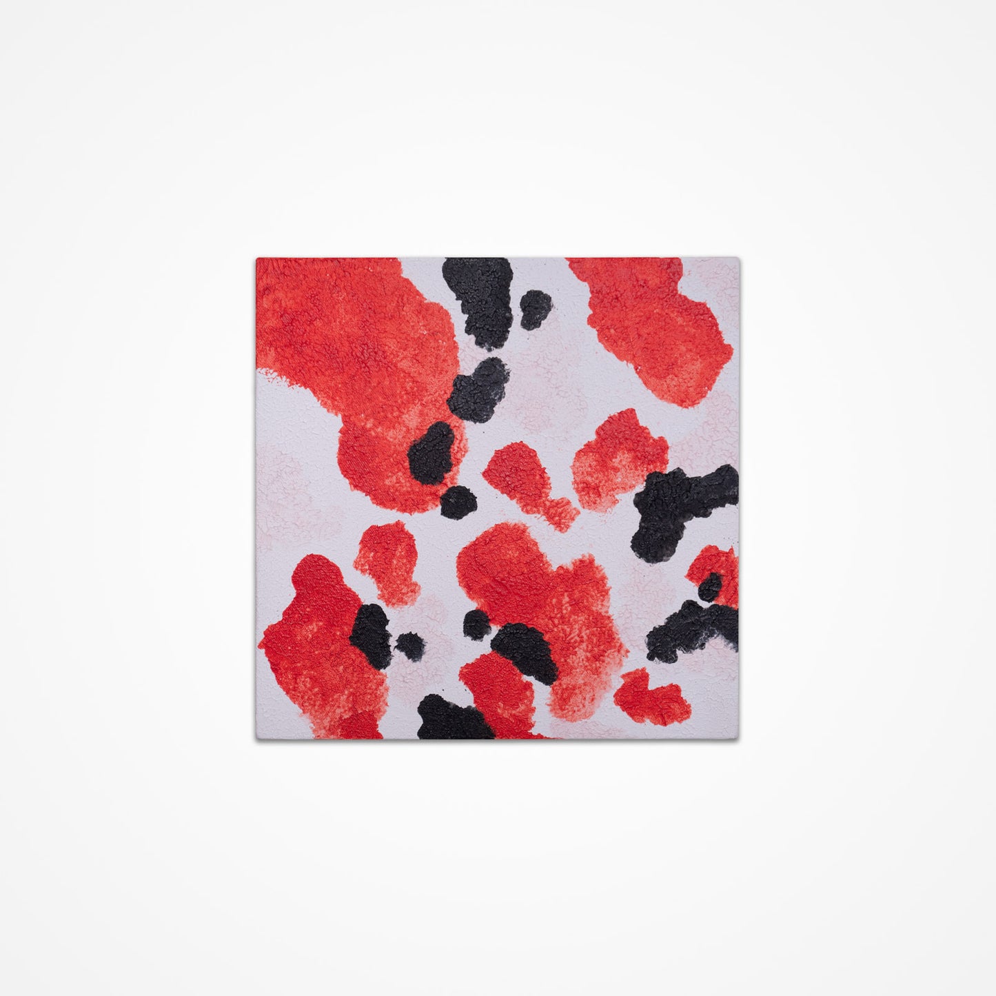 Koi Square 4/8 - Acrylic on Canvas